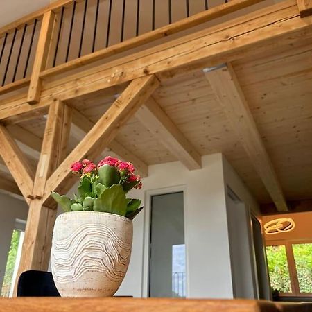 Zur Donauinsel Apartment Bad Abbach Bagian luar foto