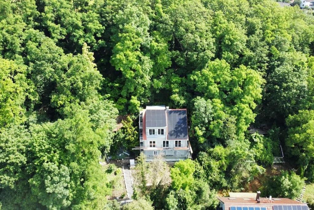 Zur Donauinsel Apartment Bad Abbach Bagian luar foto